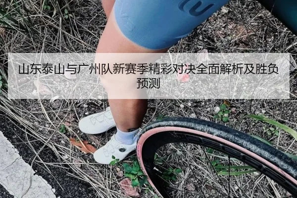 山东泰山与广州队新赛季精彩对决全面解析及胜负预测（UED）